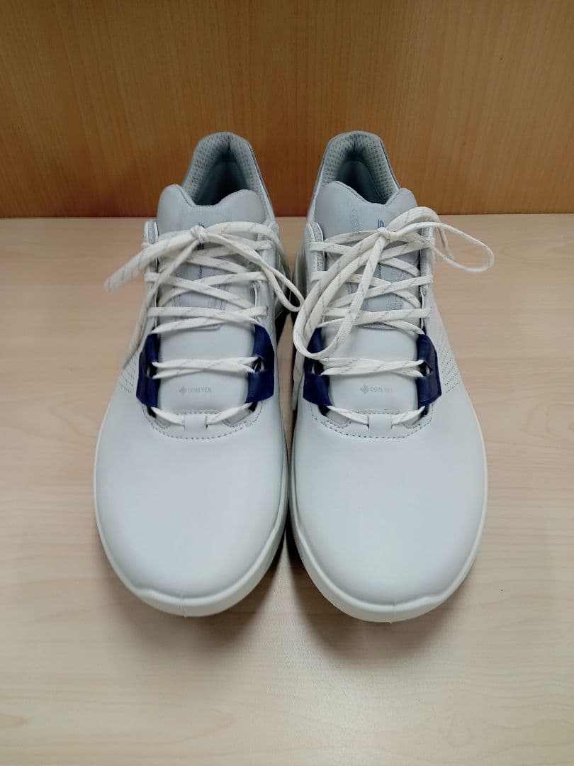 ECCO GOLF メンズ ゴルフシューズ 43サイズ