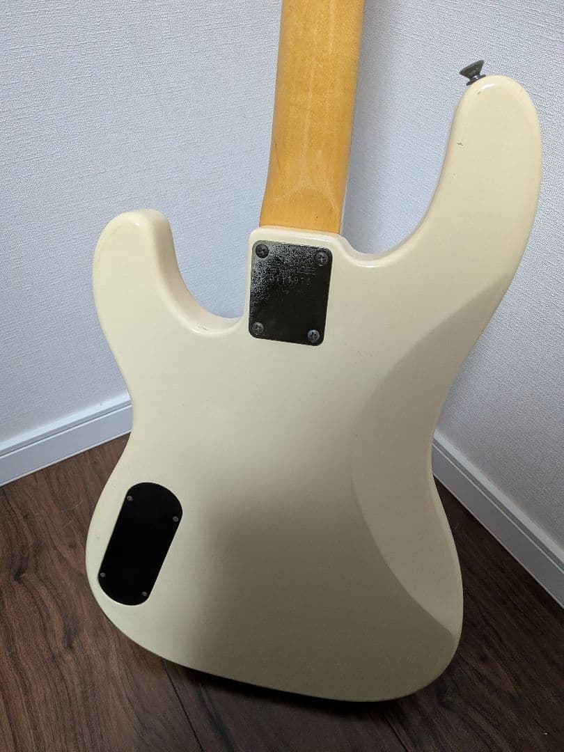 Fernandes Limited Edition ソフトケース新品弦付きます