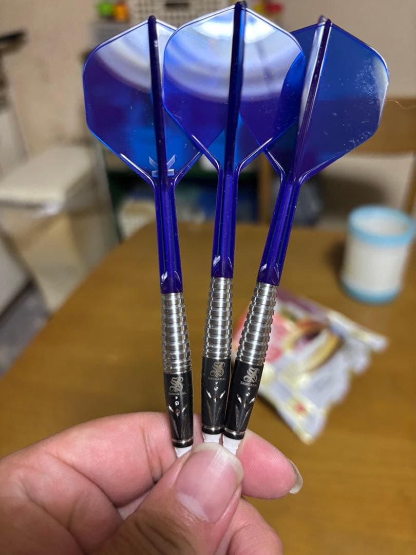 坂口優希恵プロモデルヴァルキリーバレルのみ 1_000000051498_3.jpg