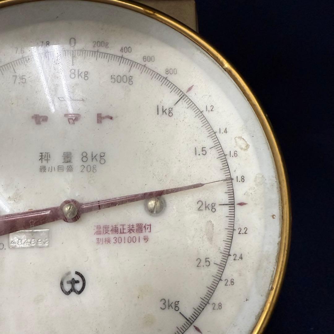 特大 ホラ貝 法螺貝 螺貝 ラッパ 雅楽 和楽器 古玩 旧家 蔵出 骨董品の