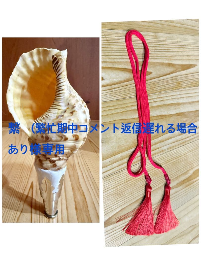 繋　(繁忙期中コメント返信遅れる場合あり コンパクト法螺貝　赤紐極小セット 法螺貝談義（第20話）｜辛島正英（不動山大聖院）