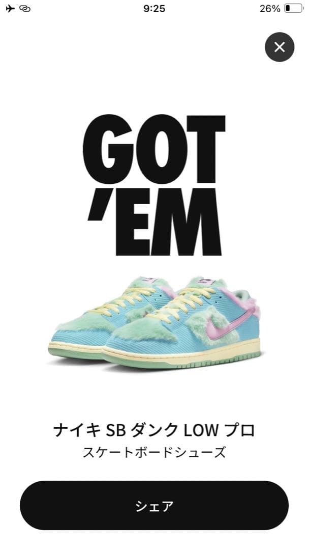 VERDY × Nike SB Dunk Low Pro QS 28.5cm
