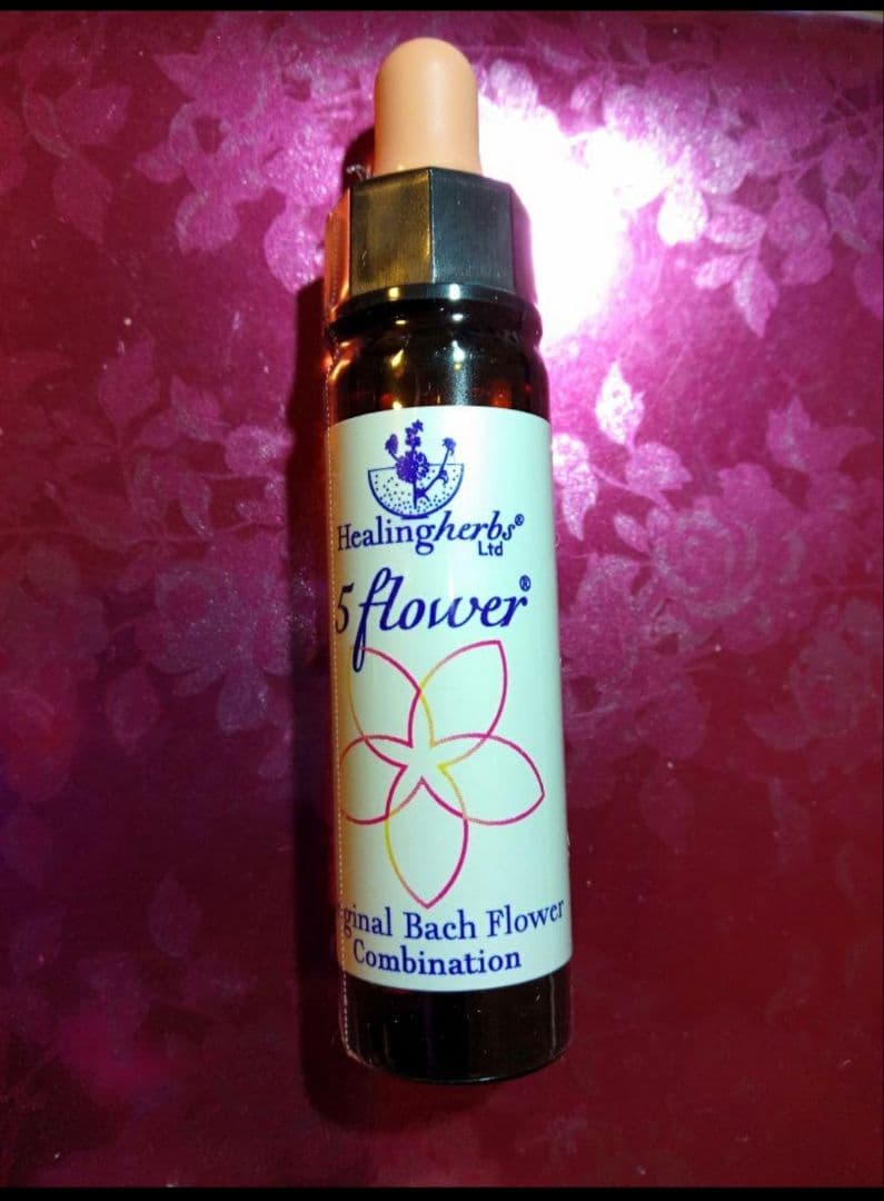 ことり様■ ビーチ ミムラス マスタード スターオブベツレヘム ワイルドオート