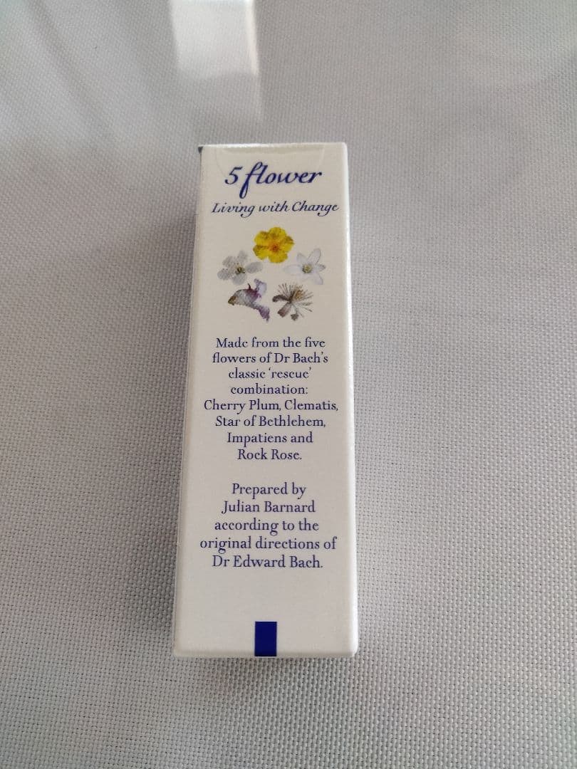 ことり様■ ビーチ ミムラス マスタード スターオブベツレヘム ワイルドオート