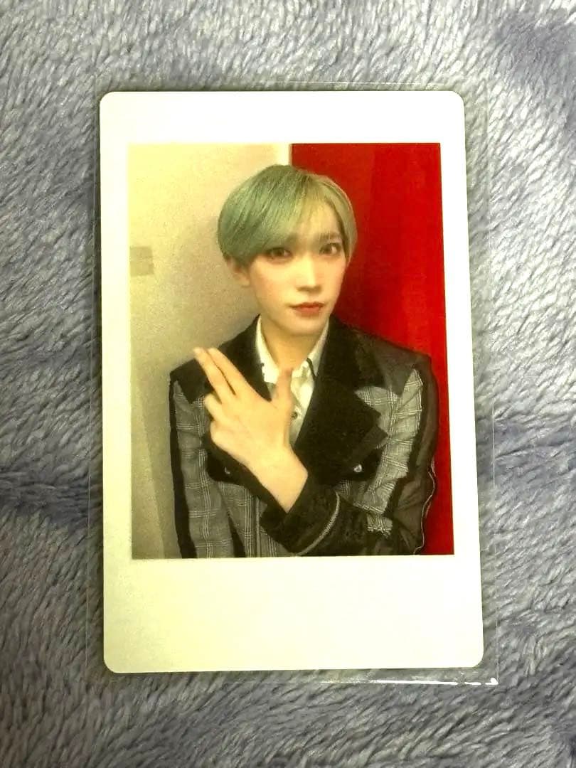 パンダドラゴン たいがハピカチェキ