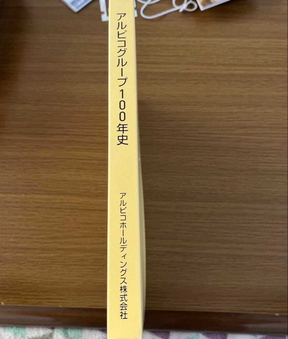 アルピコグループ100年史 非売品 レア本