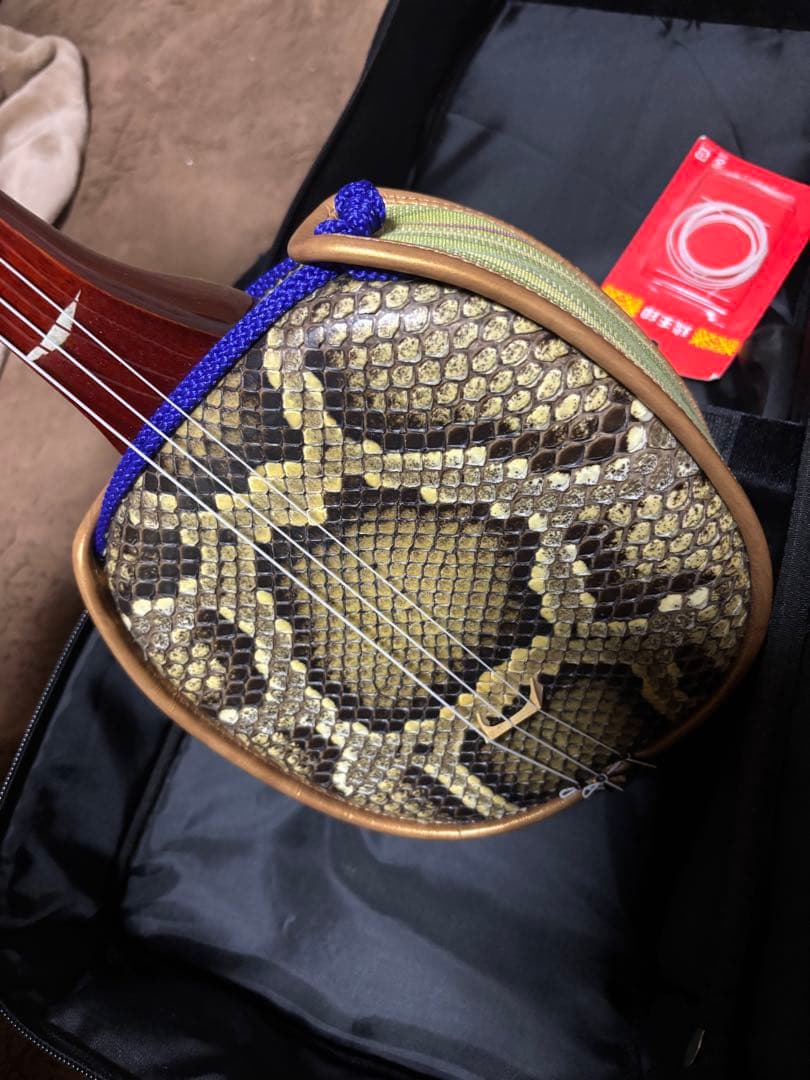 三線本体 ヘビ革製 3弦付き