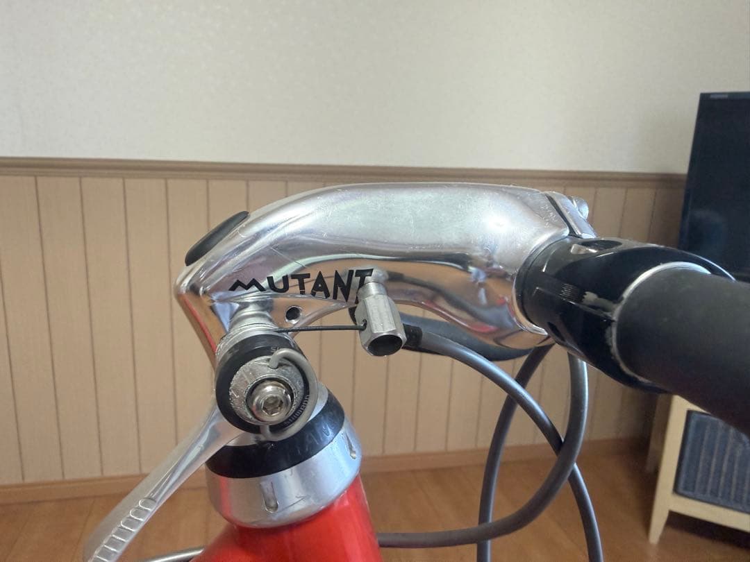 最終出品 造形美CORIMA PUMA コリマプーマ - メルカリ