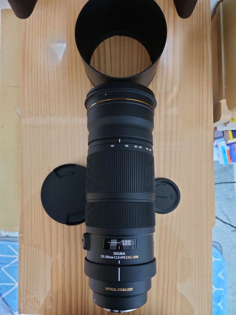 SIGMA シグマ APO 120-300mm F2.8 EX DG HSM Sigma 120-300mm F2.8 EX DG OS APO HSM review • Tobias Hjorth