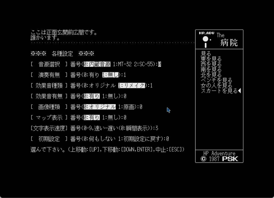 PSK作品『ザ・病院 PRO-68K』 X68000版（２本セット）