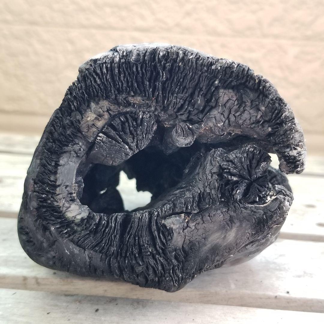 模様がキレイすぎる 紀州備長炭オブジェ 一点もの 希少