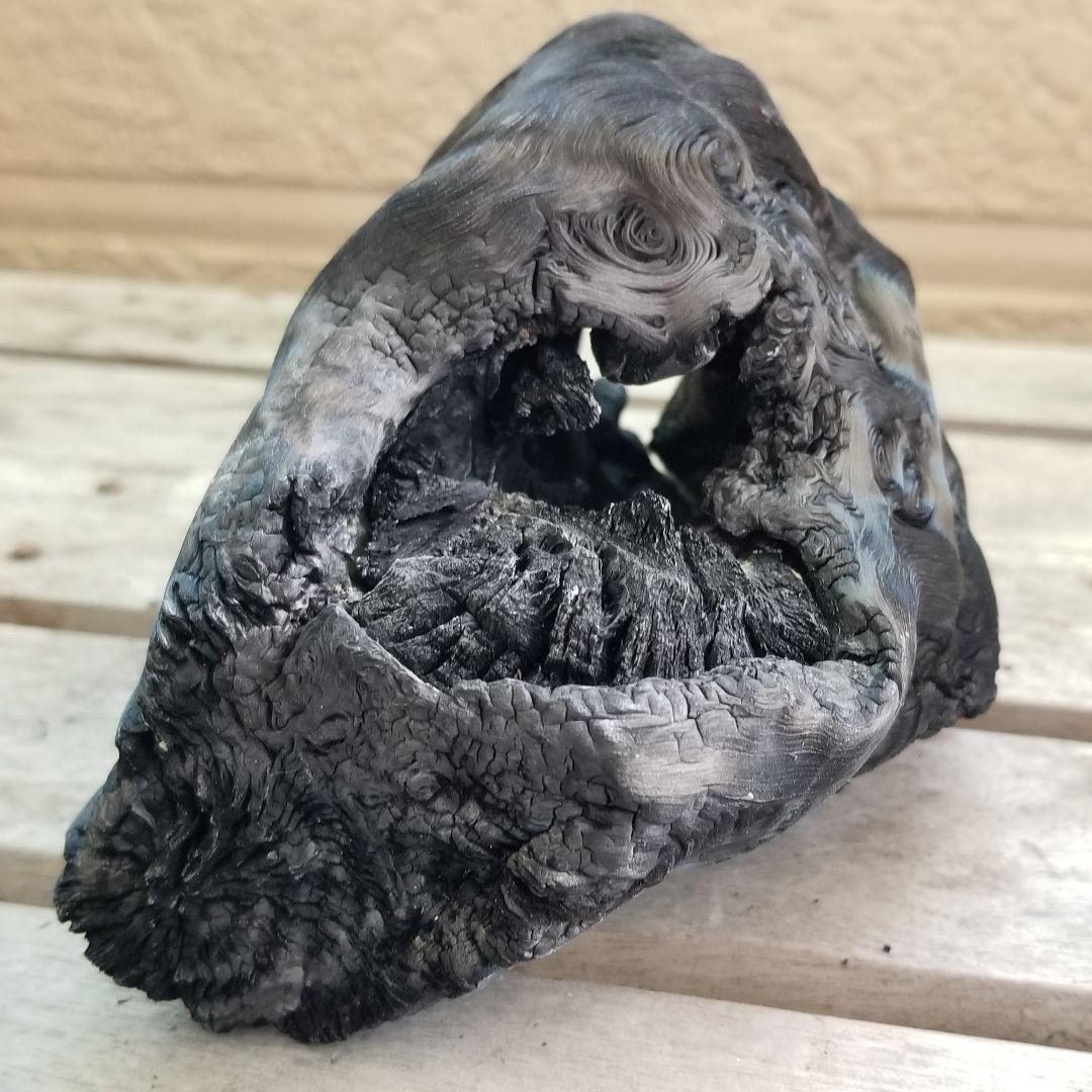 模様がキレイすぎる 紀州備長炭オブジェ 一点もの 希少