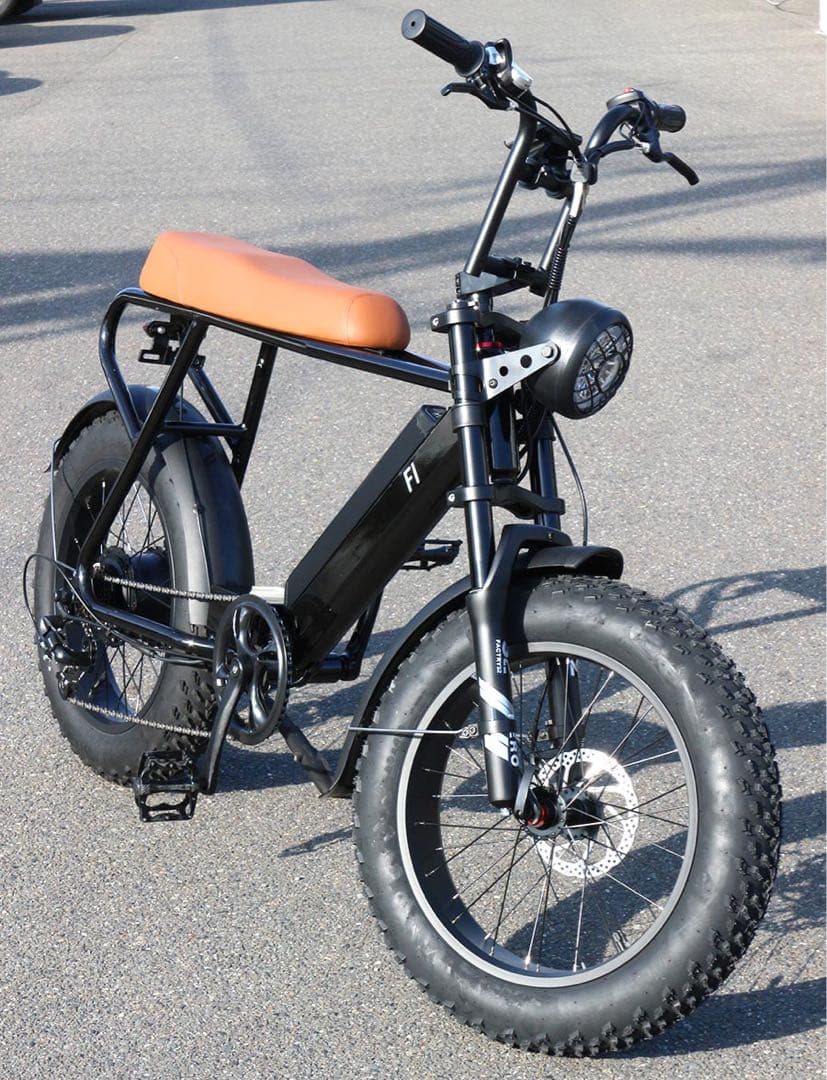 公道走行可 引取り限定 電動アシスト自転車 48Vバッテリー AUSブランド発祥