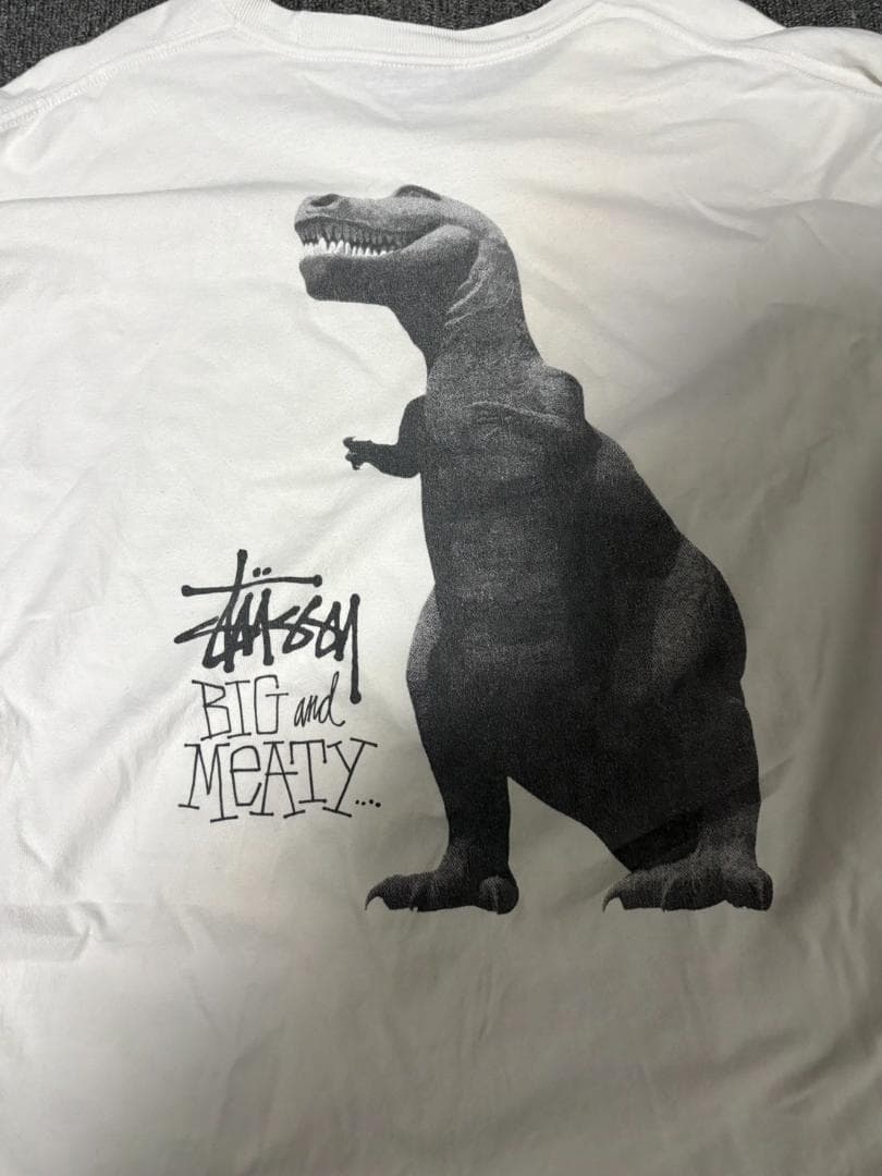 Stussy 恐竜プリント 長袖Tシャツ 992228b3de5679927ed7872cba4e02