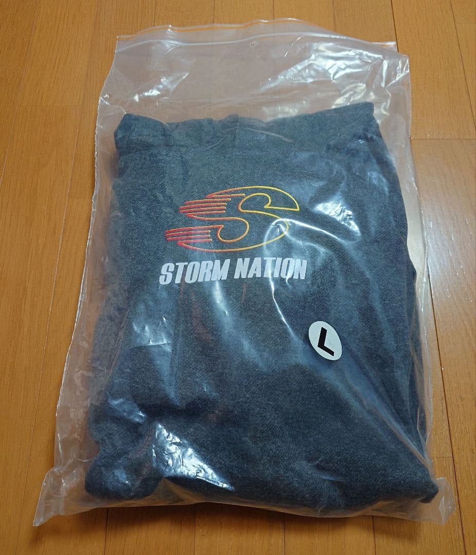 ◇STORM◇ ストーム フライングS フード Lサイズ（USサイズ） - ウェア