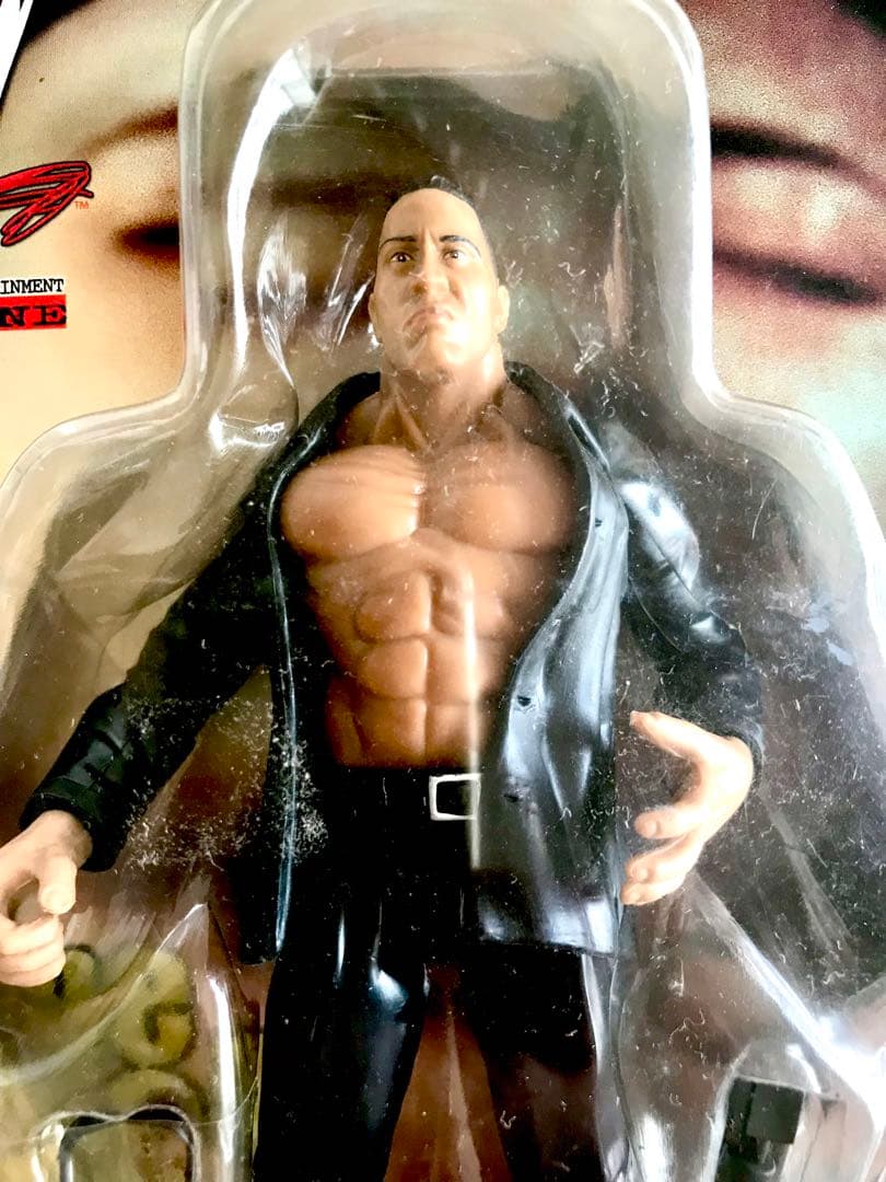 ザ・ロック vs \"ハリウッド\" ハルク・ホーガン　セット