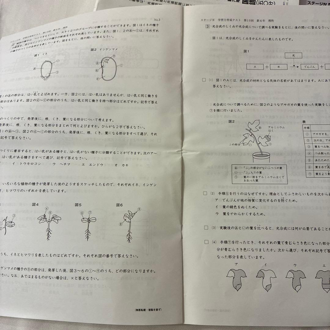 2025年最新版] 日能研 6年 前期テスト17回分 日能研 6年生 テスト一式