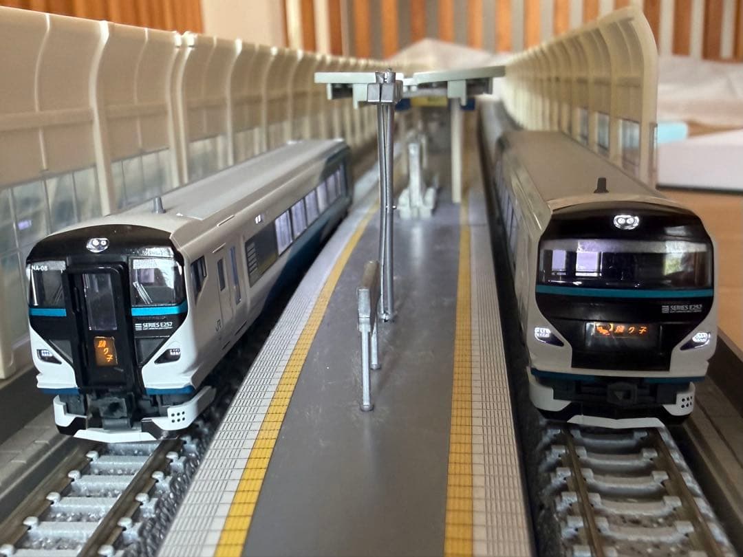 KATO E257系2000番台 踊り子 9両 KATO 10-1613 E257系2000番台「踊り子」9両セット Nゲージ * | 鉄道