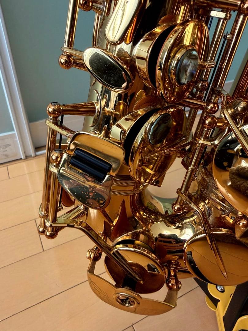 定価42越え】アルトサックス Cannonball AScep-L