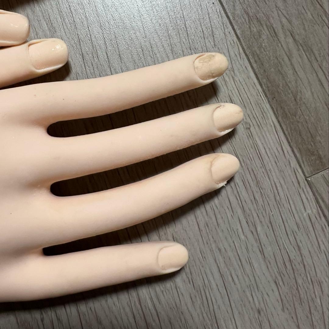 JNEC 認定モデルハンド(骨折なし) - ネイルアート用品(筆など)人気
