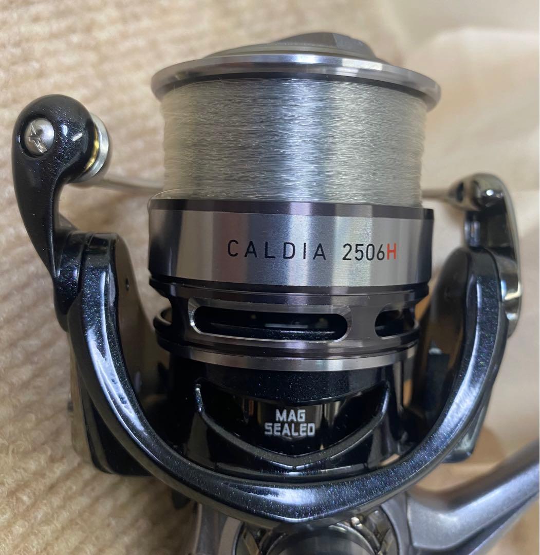 新品DAIWAリール&ルアー】ダイワCALDIAリール&シーバスルアー多数