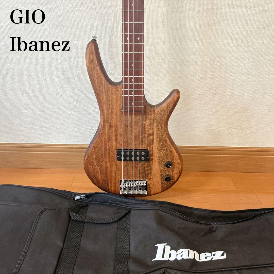 GIO Ibanez 5弦ベース エレキ　GSR105EX 初心者向け　ケース付 Amazon | Ibanez(アイバニーズ) GIOシリーズ 5弦エレキベース Mahogany