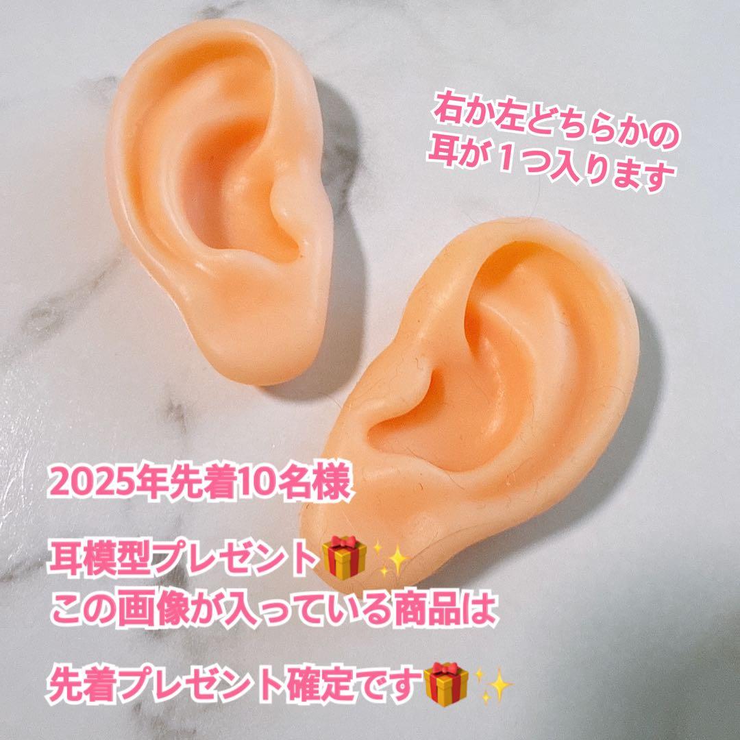 W資格【2025年度版】耳つぼジュエリー資格資格＆耳つぼデザイナー資格