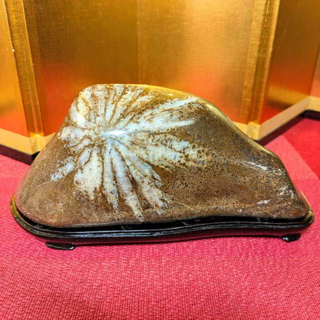 菊花石 岐阜県根尾谷産2.0㌔ 鑑賞石 観賞石 水石 盆石 天然石 置物 m34465214939_1.jpg?1702636374