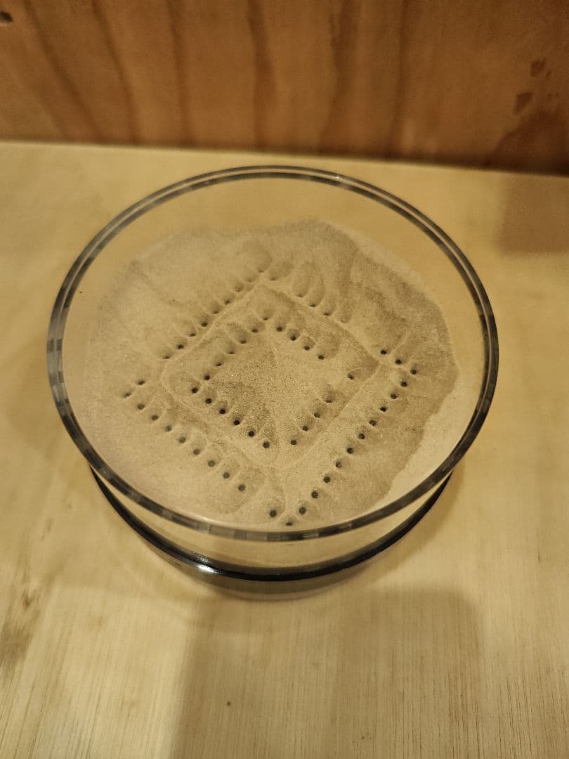 廃盤　naef社　ネフ社　サハラ