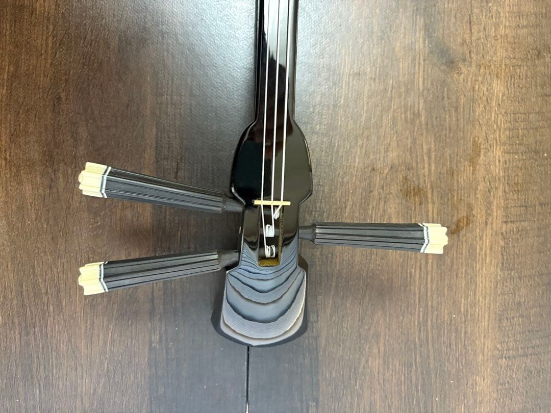 沖縄三線 ヘビ柄デザイン 楽譜集付