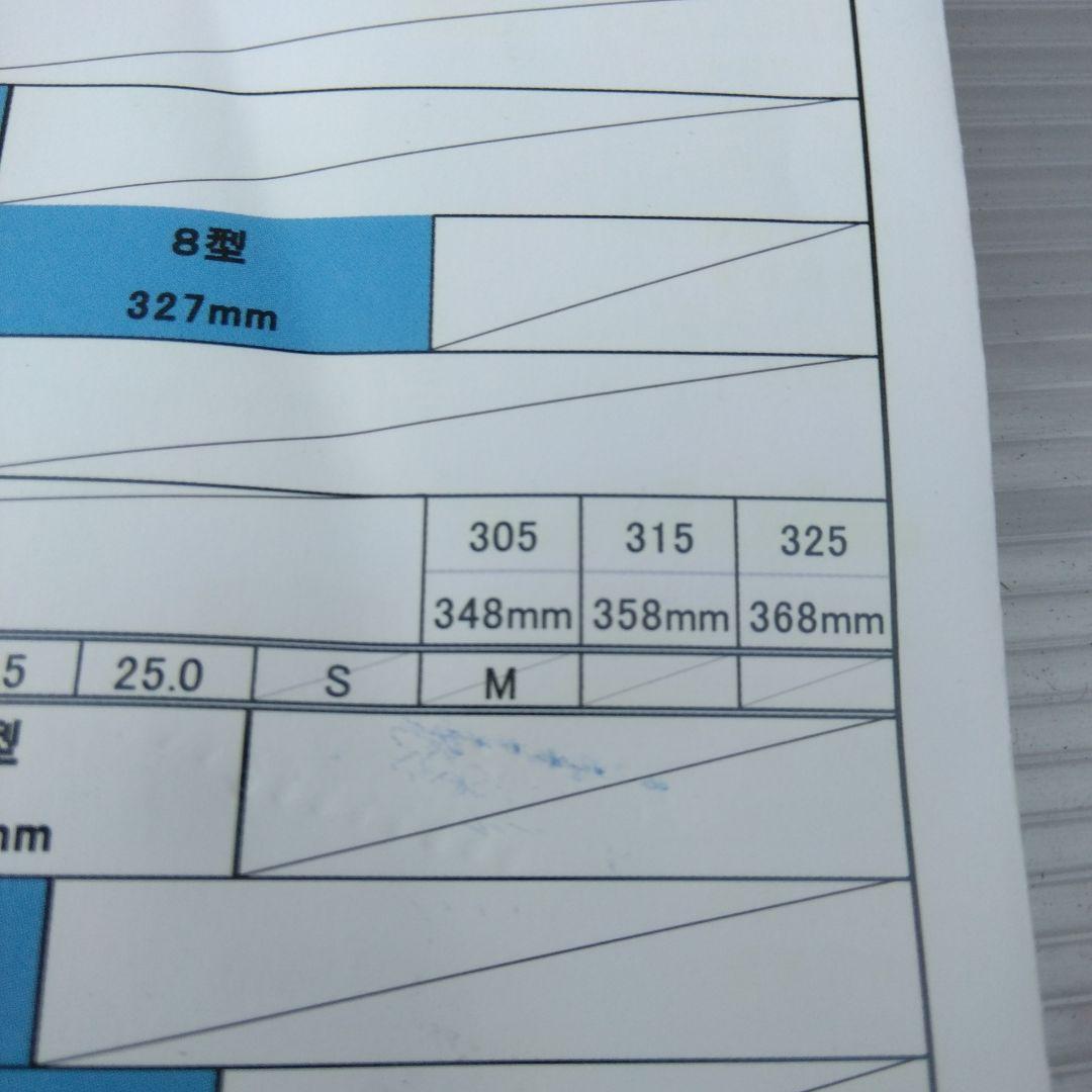 Alpina スキー ブーツ ブラック 31.5cm(30cm 4E)