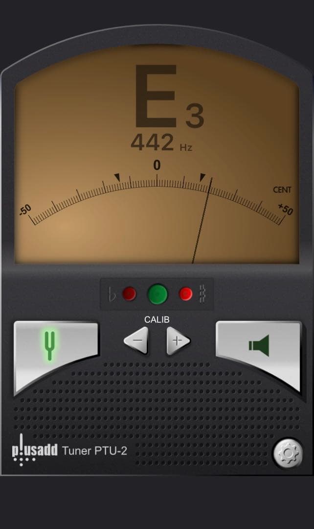 チューンド•タイゴング ハイオクターブ e' 中古 ホビー・楽器・アート