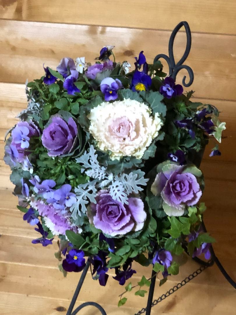 葉牡丹の寄せ植え ハンギングバスケット - メルカリ