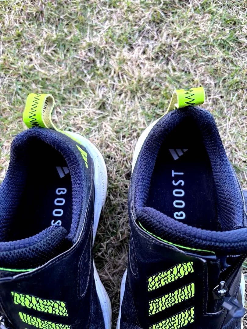 adidas アディダス コードカオス25 BOA 24.5cm ゴルフシューズ