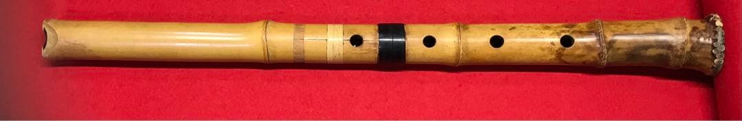 尺八17中古品(竹製) Amazon | 尺八 (しゃくはち） 玉山銘 真竹 琴古流 1尺6寸管 Gyokuzan