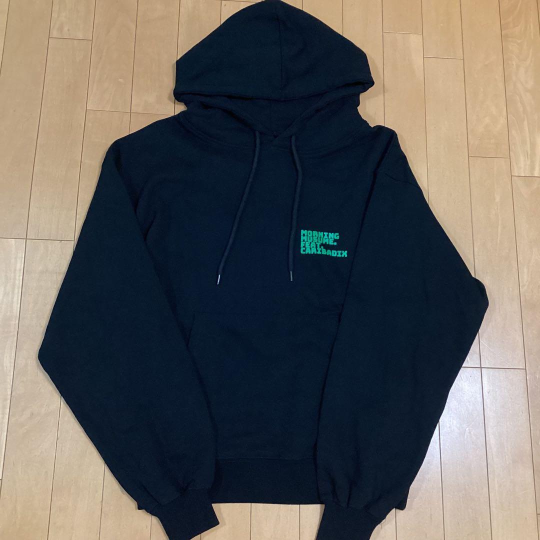 極美品 モーニング娘 山崎愛生 パンダ パーカー R4G がおっきー