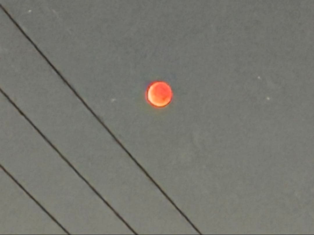 その他 dndn2327 723 - DND Duo Gel - Zippy – SALONSUPPLYPLUS.COM