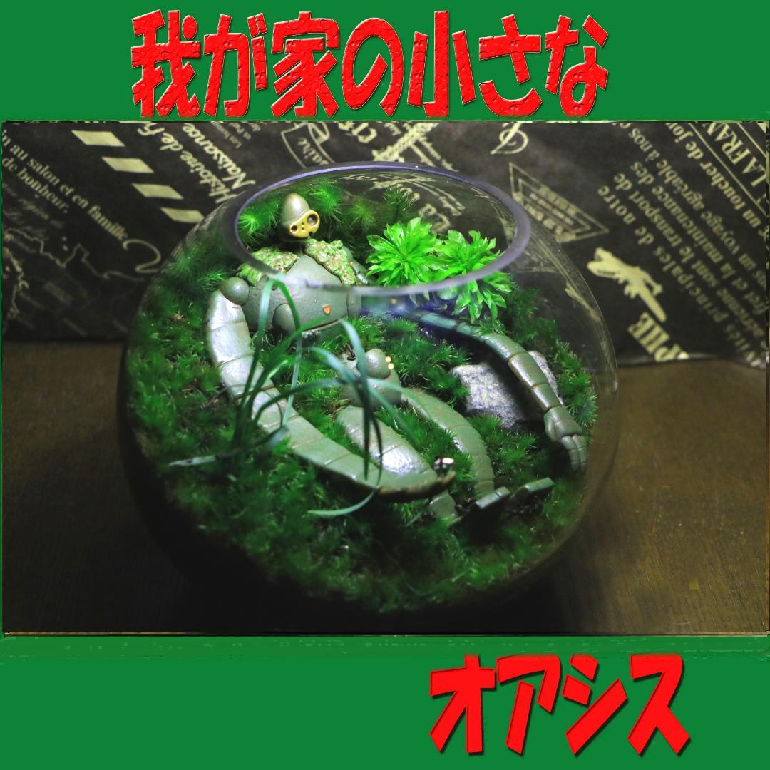 苔テラリウム オーダー品受け付 販売中 和み 我が家の小さなオアシス