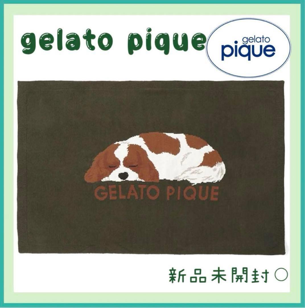 ジェラートピケ ジャガードブランケット キャバリアSLEEPING DOG