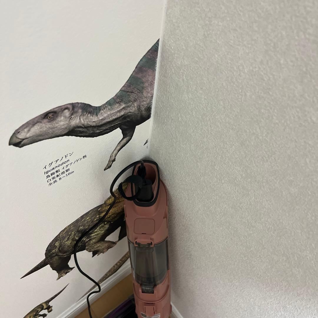 みっちょん