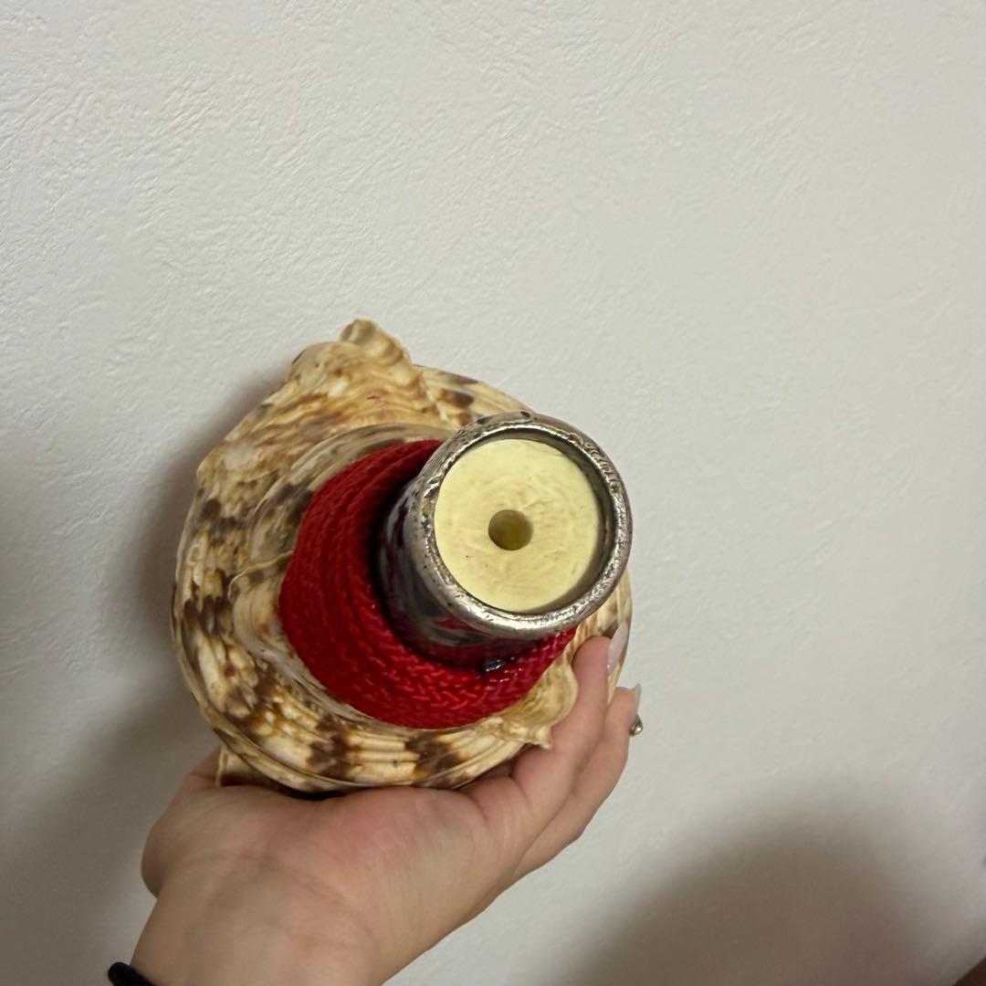 法螺貝 ほら貝 36.5cm‼️