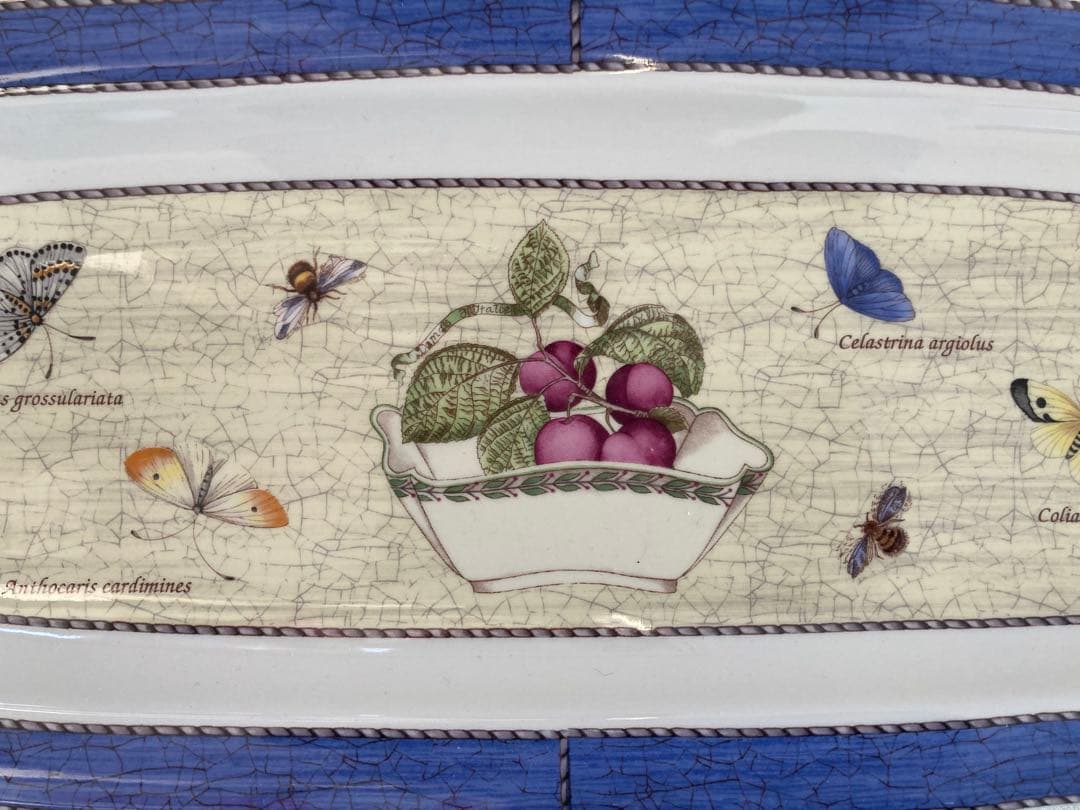 SARAH'S GARDEN 長皿&ケーキ皿 デザート皿フルーツ皿5枚セット