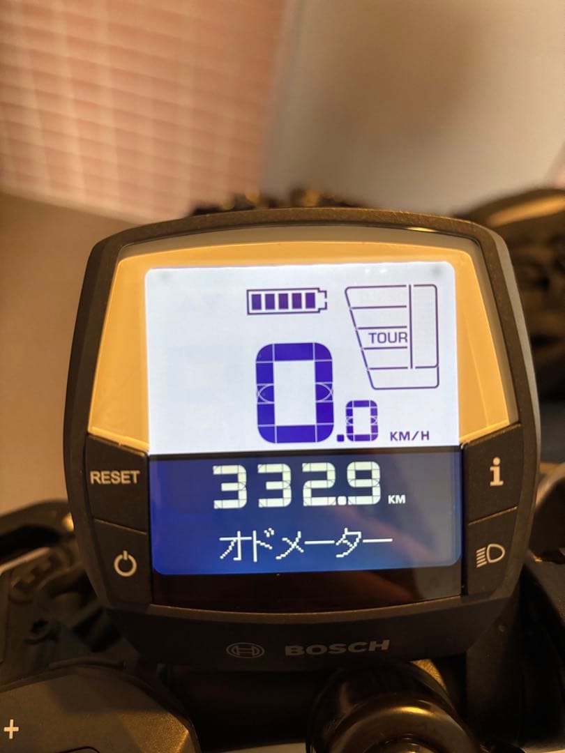 tomo peponi様専用】 室内保管防犯抹消済TernVektronS10 - メルカリ