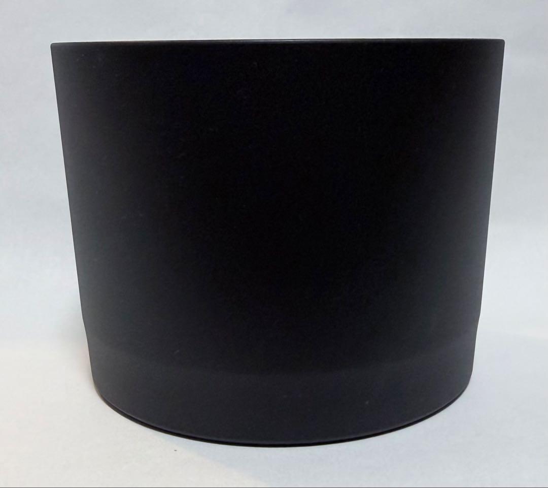 キヤノン RF200-800mm F6.3-9 IS USM 保護フィルター付