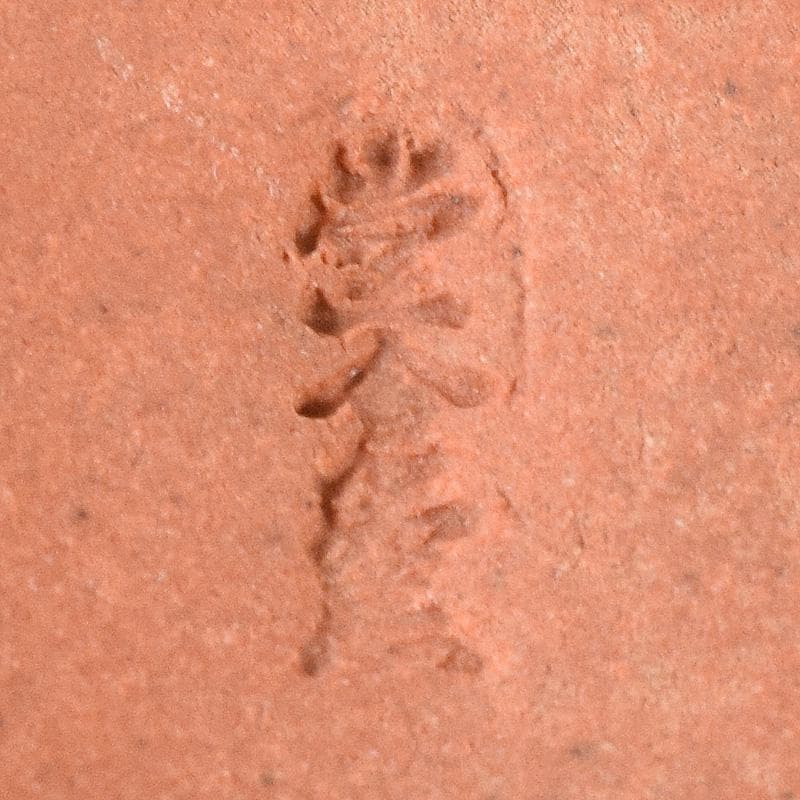 茶道具 鯛 香合 在銘 共箱 V 7480 - メルカリ