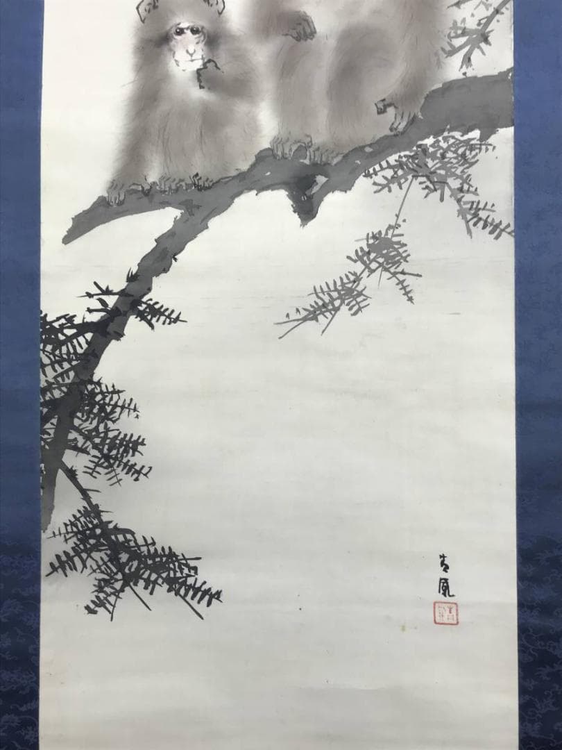 二井谷友宏様専用）真作/望月青鳳/猿図/花鳥図/掛軸/名家伝来/AE-106