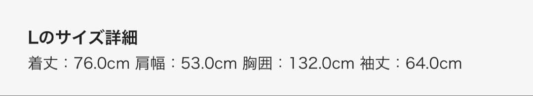 ★最終価格★Supreme Micro Down \"Black\" サイズL