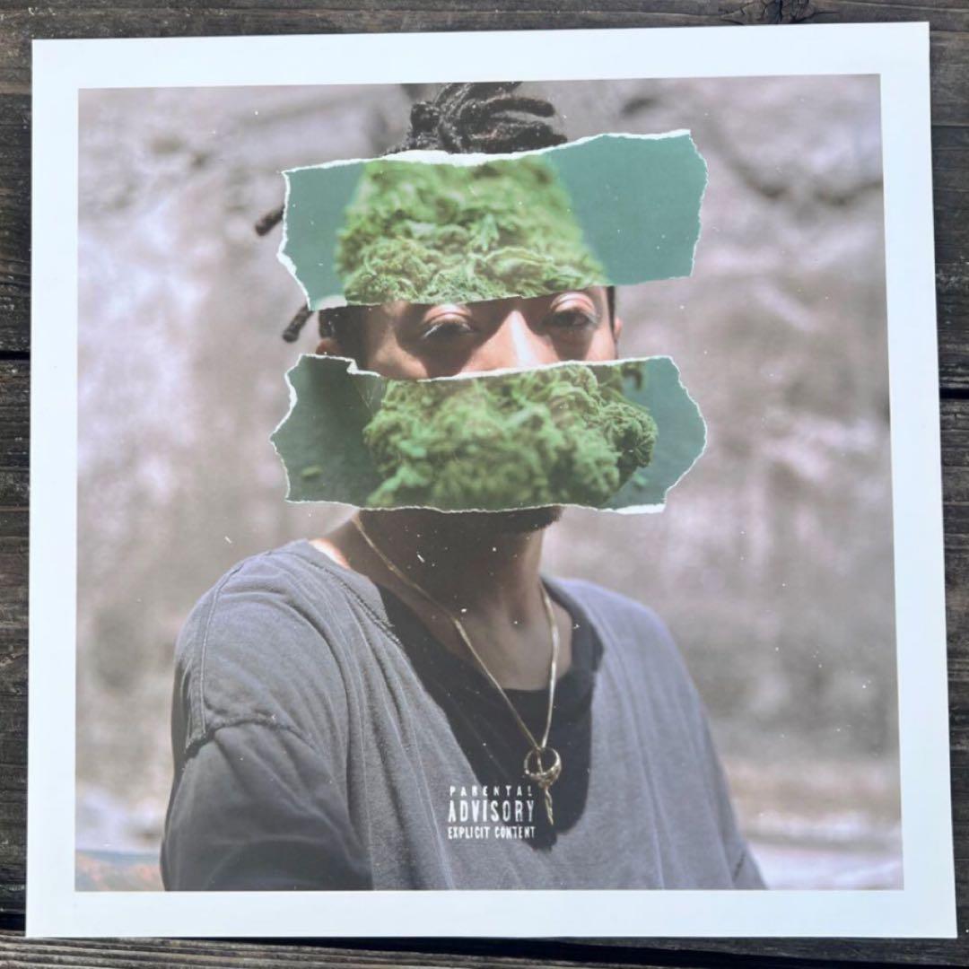 Rudebwoy Face / Jam Down LP レコード
