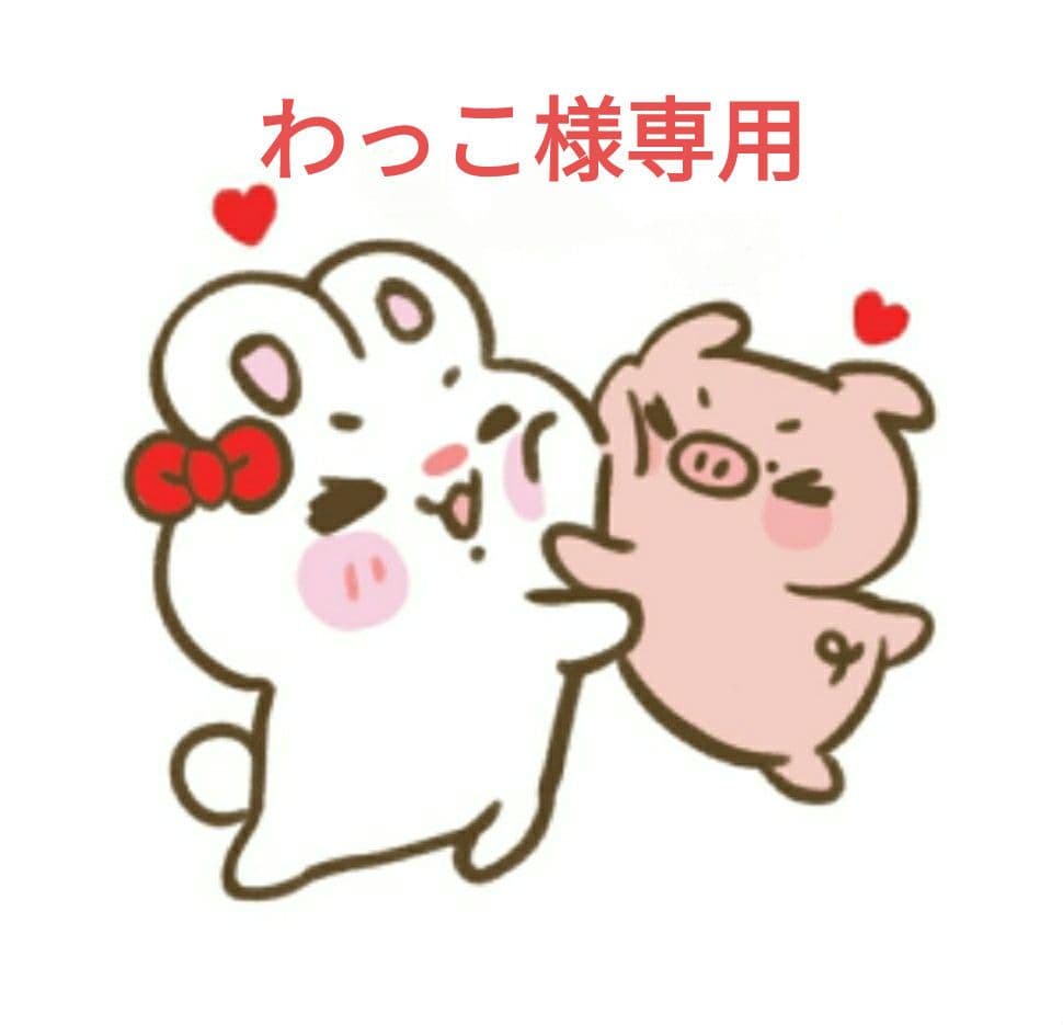 【わっこ】 ZX ND16 | ケンコー・トキナー