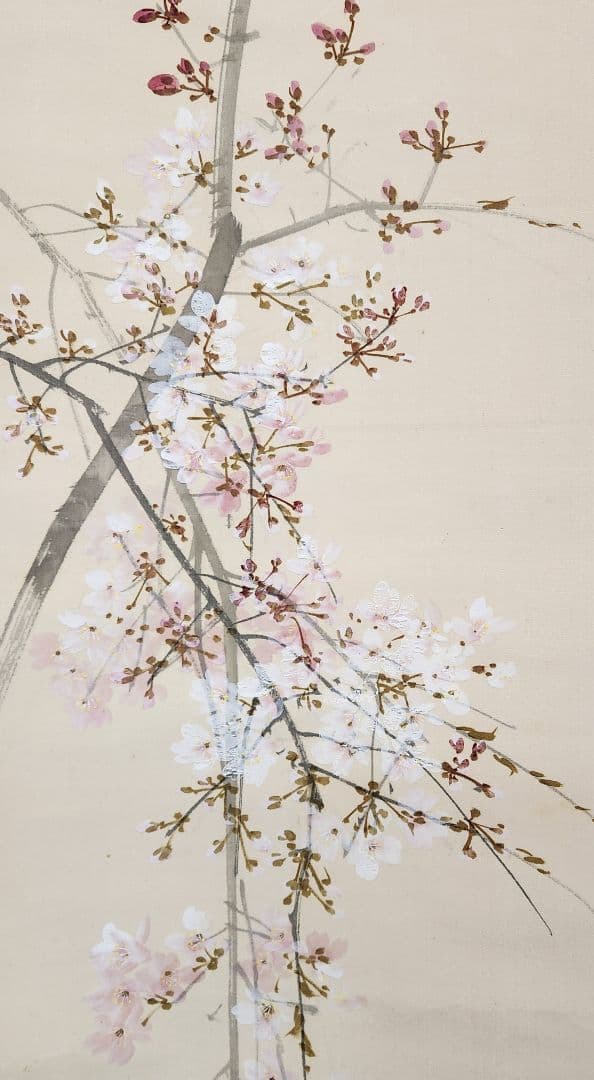 桜花目白図】今井景樹 2669 サクラにメジロ 共箱 掛け軸 肉筆 - メルカリ